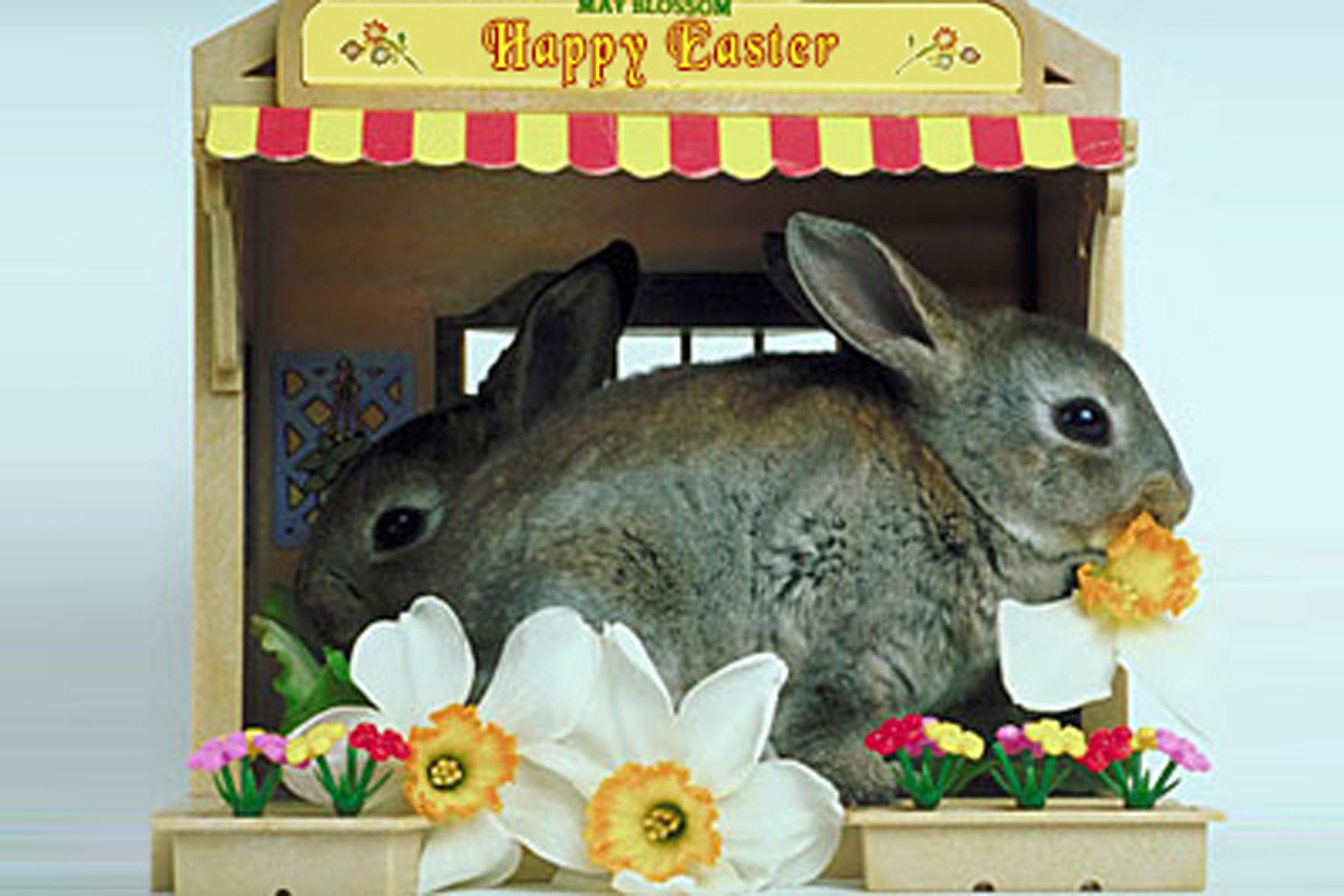 Easter Spring Break 2022 – Sweyne Park School